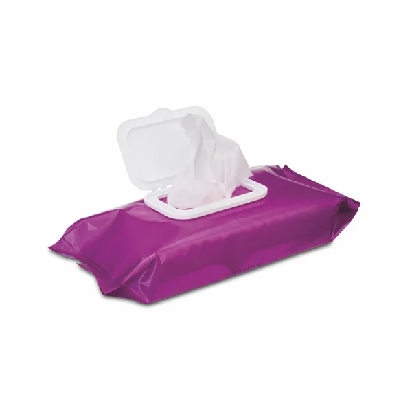 Wet Wipe Bag 2