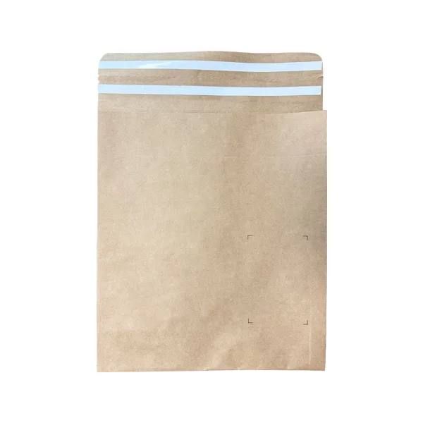 Mailer Bag (Poly  Paper  Metallic) 3
